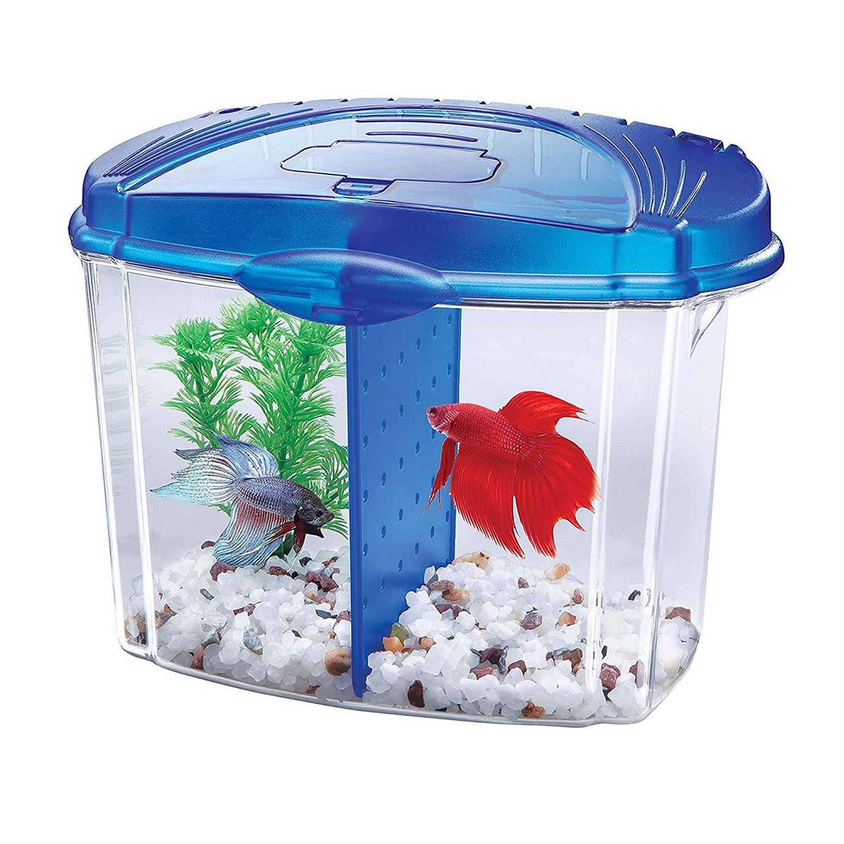 Betta Bowl Kit J955